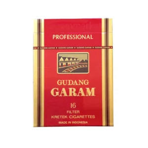บุหรี่หวาน GARAM กาแรม (16 มวน)